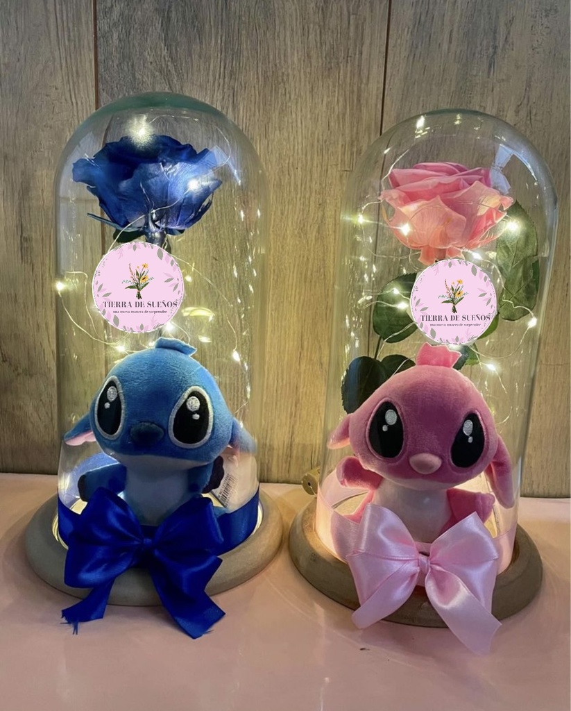 Rosa con peluche 