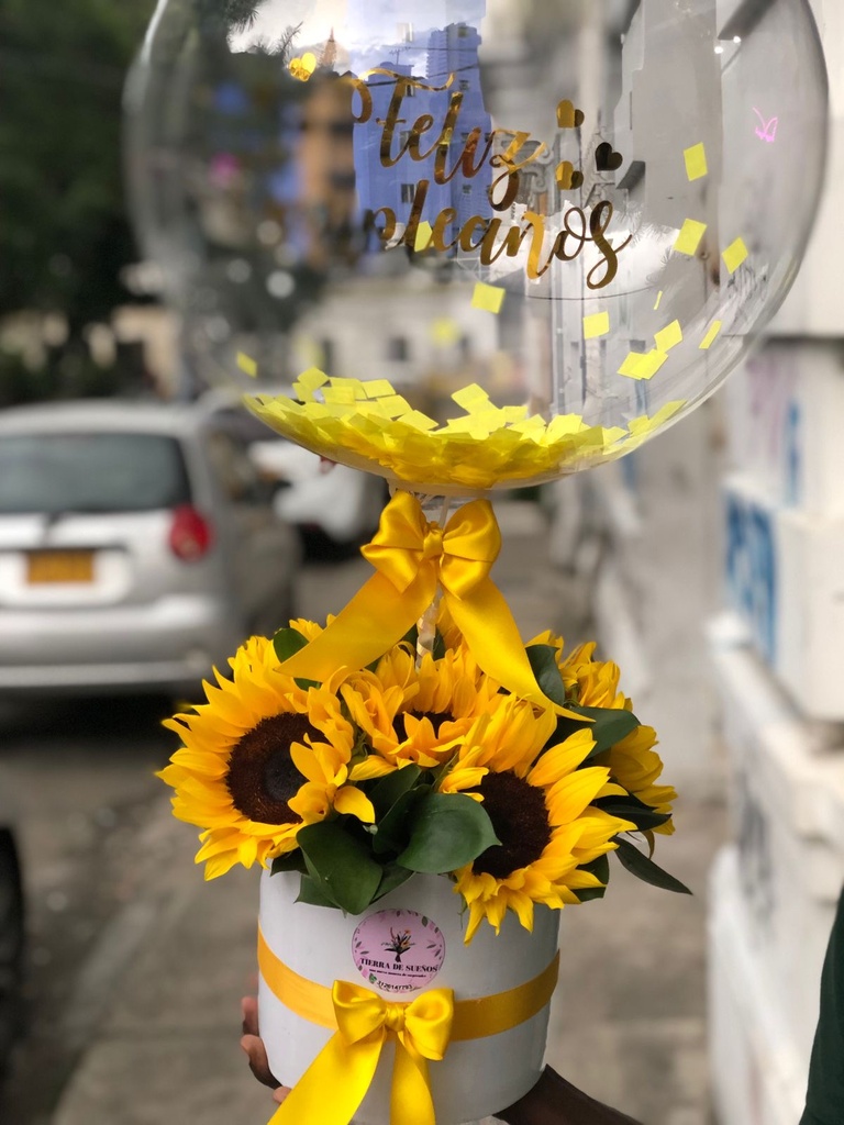Girasoles 