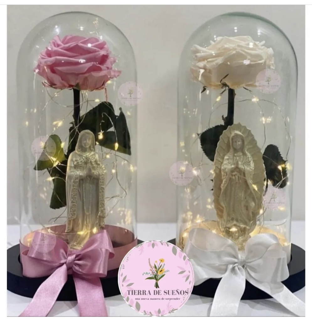 Rosas preservadas 