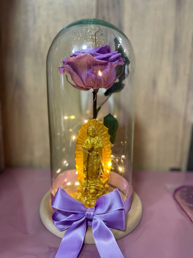 Rosa preservada 