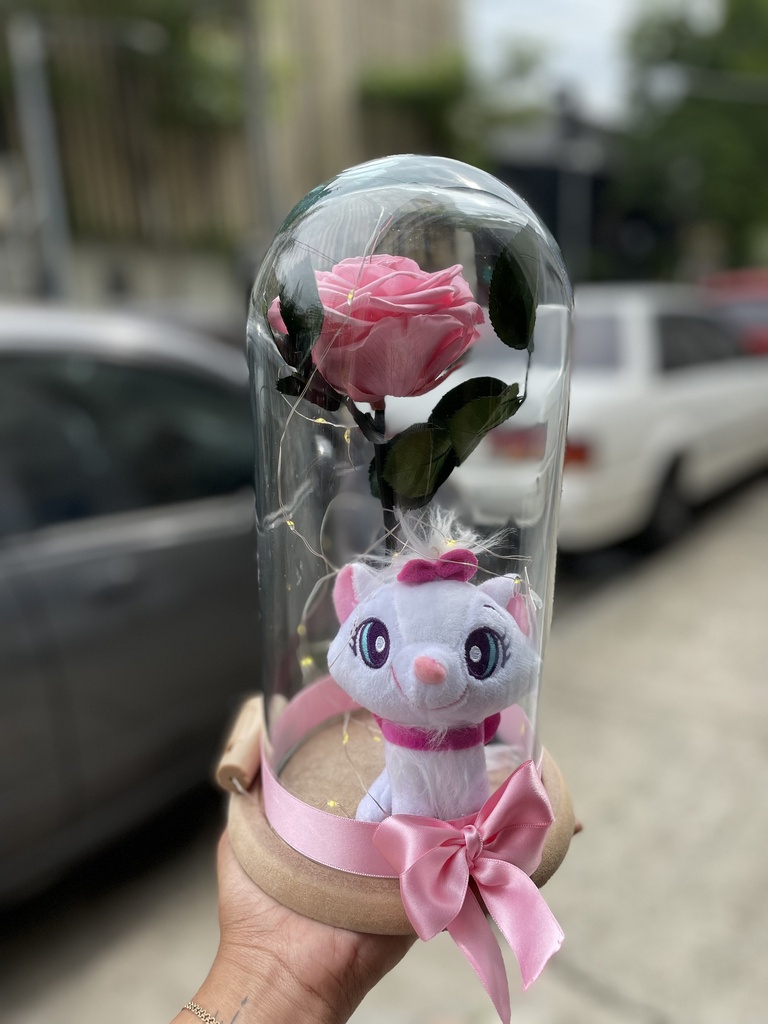 Rosa preservada con peluche 
