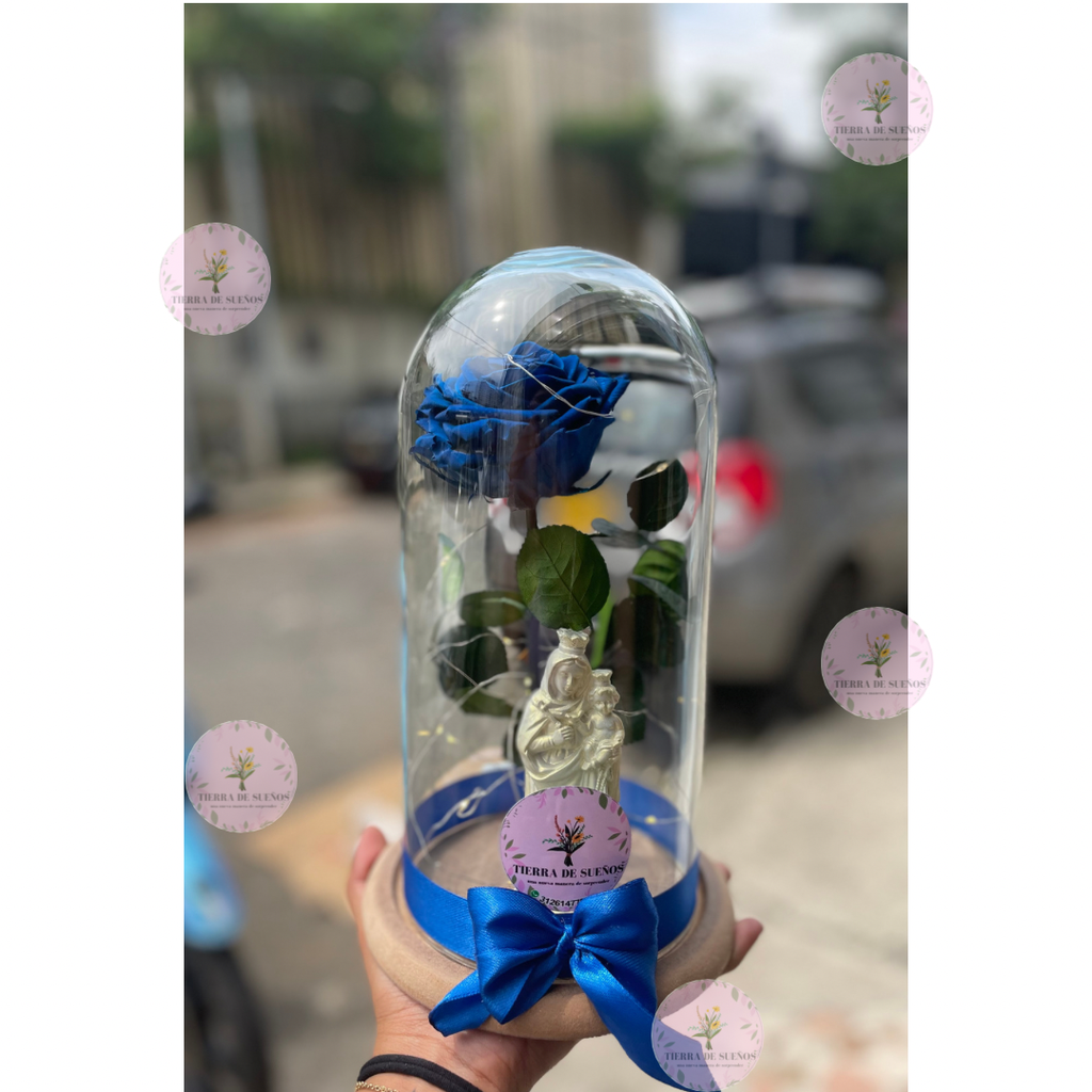 Rosa con Virgen 
