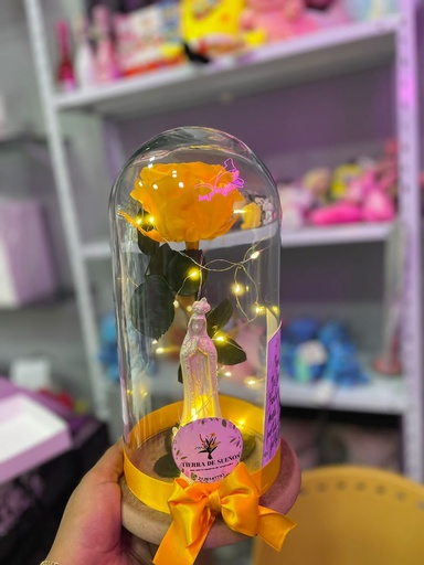 Rosa Preservada
