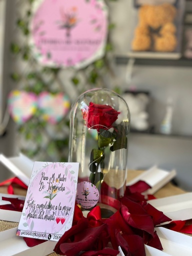 Rosa preservada con caja 