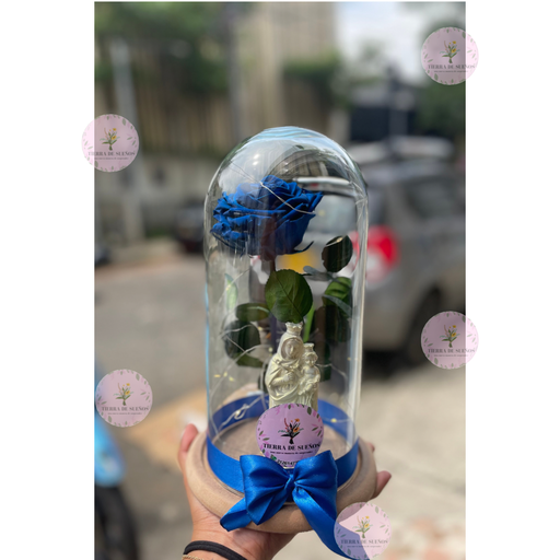 Rosa con Virgen 